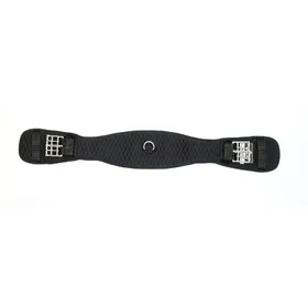 Meilleurs prix pour Sangle de dressage d'équitation Lami-Cell V22