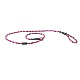 Comparer les prix de Weatherbeeta - Laisse - Chien (1.8 m) (Rouge/ marron) - UTWB1345