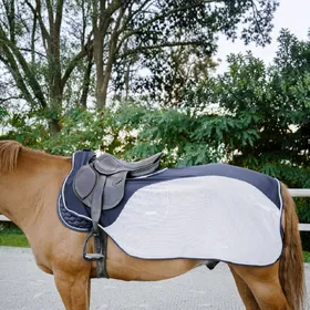Comparer les prix de Couvre-reins pour cheval Equithème Flycool
