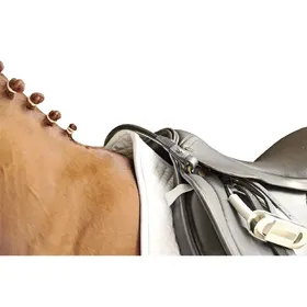 Comparer les prix de Courroie pour cheval HKM