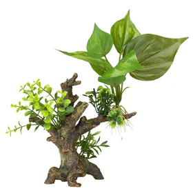 Meilleurs prix pour Ebi Décoration Aqua Della Flora Scape Pour Aquariums 14,5X9X16,5 Cm