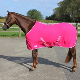Comparer les prix de Couverture polaire pour cheval avec sangle QHP Color