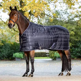 Comparer les prix de Couverture d'écurie pour cheval LeMieux Arika Stable-Tek 200g
