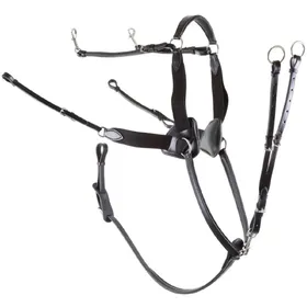 Comparer les prix de Collier de chasse pour cheval 5-points élastique Premiere