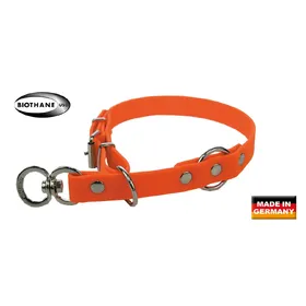 Comparer les prix de Collier pour chien avec boucle Akah BioThane