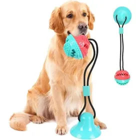 Meilleurs prix pour Jouets à Mâcher de Balle Jouet Chien avec Ventouse, Balles Dents pour Murs Carreaux Sol en Bois