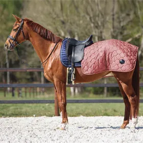 Comparer les prix de Couvre-reins QHP Quarter Classy