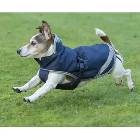 Meilleurs prix pour Bucas Freedom Dog 300g - Marine/Argenté