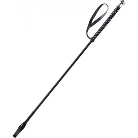 Comparer les prix de Cravache Whip & GO point noir