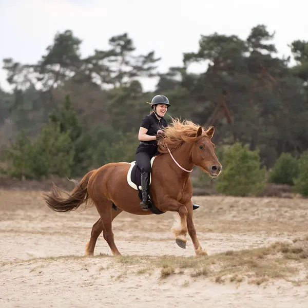 Imperial Riding Tapis de monte à cru IRHFree ride - Taille F/S - Bleu – photo 3