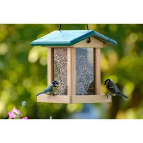 Meilleurs prix pour dobar Mangeoire à oiseaux avec silo bois naturel et vert