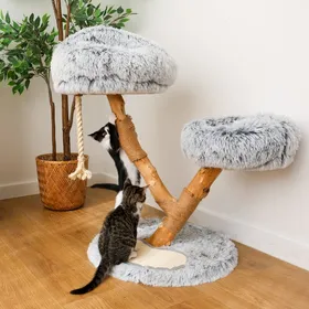 Meilleurs prix pour Petit arbre à chat en bois flotté - 83 cm - Zolia Huter - Ø49x83cm
