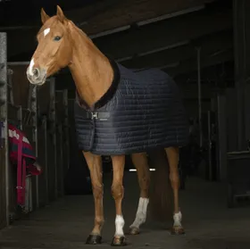 Meilleurs prix pour Couverture d'écurie Equithème Teddy en peau d'agneau
