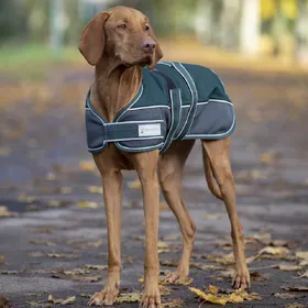 Comparer les prix de Waldhausen Couverture pour chiens Comfort Line 200g - Taille 35