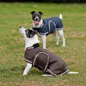 Meilleurs prix pour Couverture pour chien Eskadron Ripstop