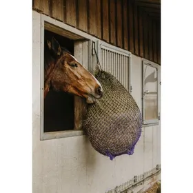 Meilleurs prix pour HIPPOTONIC Filet foin fin noir & violet