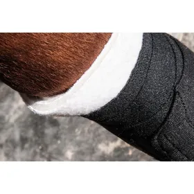 Comparer les prix de Sous-bandes pour cheval en mousse postérieur T de T