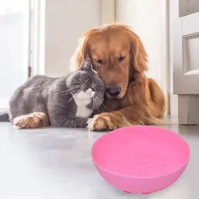 Meilleurs prix pour Bol à alimentation lente en silicone - Gris