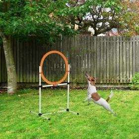 Meilleurs prix pour Kit dentraînement Agilité Chien - Anneau de Saut Portable PE - Blanc/Orange - 74.5x66x91 cm