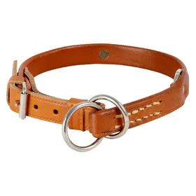 Meilleurs prix pour Collier pour chien en cuir avec plaque d'identification Akah