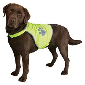 Meilleurs prix pour Chasuble de sécurité pour chien