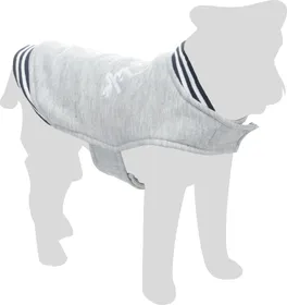 Meilleurs prix pour Sweat confort pour chien Flamingo Lamar Gris - 30cm