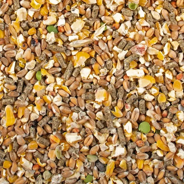 Complément alimentaire Duvoplus – photo 2