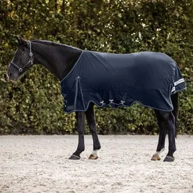 Meilleurs prix pour Couverture dextérieur pour cheval Waldhausen Scandic 100g - Bleu - 145 cm