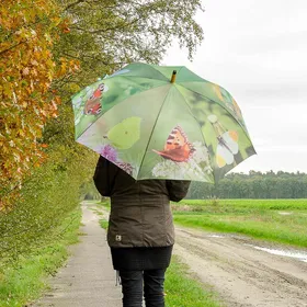 Meilleurs prix pour Parapluie avec papillons | Parasols et parapluies | Parapluie Illustrations | Accessoires | Vivara