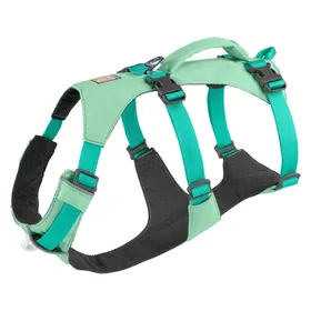 Meilleurs prix pour Ruffwear Harnais Flagline (Chien, Général), Collier + laisse