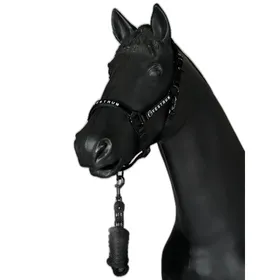 Meilleurs prix pour Ensemble licol et longe équitation Vestrum Locri