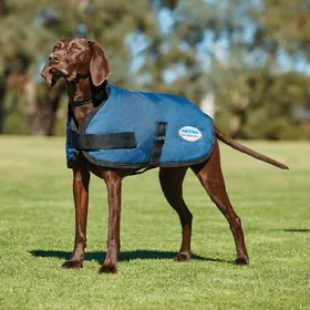 Meilleurs prix pour Manteau classique pour chien Weatherbeeta Comfitec
