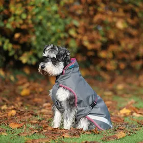 Meilleurs prix pour Bucas Freedom Dog 50g - Cerise - Taille 40 - Gris