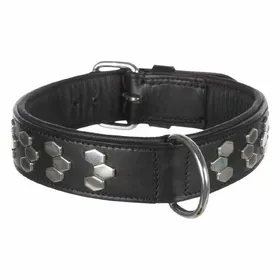 Meilleurs prix pour Active Collier Avec Rivets, Xl: 65–75 Cm/40 Mm, Noir - 1839 - Mon Animalerie