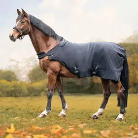 Comparer les prix de HKM Heizdecke EquineCarePro - Taille 145