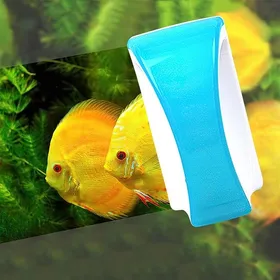 Meilleurs prix pour Brosse magnétique de nettoyage pour aquarium outil flottant de nettoyage des algues avec manche (bleu)