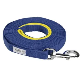 Meilleurs prix pour AniOne Longe plate avec passant bleu 15 m