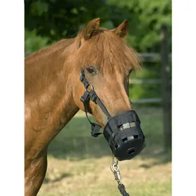 Meilleurs prix pour United Sportproducts Muselière Poney