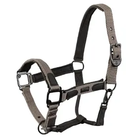 Comparer les prix de Licol pour cheval BR Equitation Eevolv Laudine