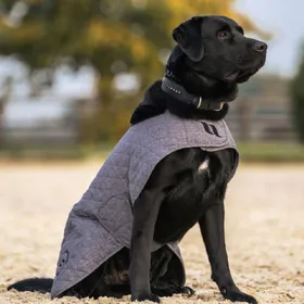 Comparer les prix de Back on Track Haze Collection Manteau pour chien - gris