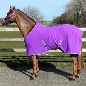Comparer les prix de Couverture polaire pour cheval avec sangle QHP Color