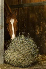 Comparer les prix de HIPPOTONIC Filet foin Zari - Vert / argenté - 105cm