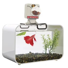 Meilleurs prix pour Distributeur de nourriture pour oiseaux Zoomed Betta BF1