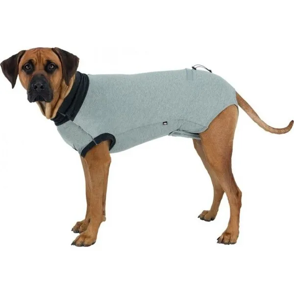 Soin Chien – Trixie Body de protection – XS/S – photo 2