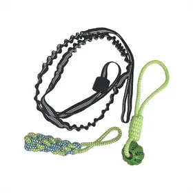 Meilleurs prix pour Jouets à corde pour chien à ressort, Jouet interactif à corde à tirer pour chien, Jouet à suspendre à élastique pour chiens intérieur/extérieur