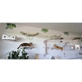 Comparer les prix de Arbre à chat mural modulable Zolia Hooky - N°7 - Tour plateforme avecgriffoir