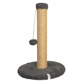 Meilleurs prix pour Paws & Whiskers Coris Cat Scratching Board (52 cm, Anthracite), Arbre à chat