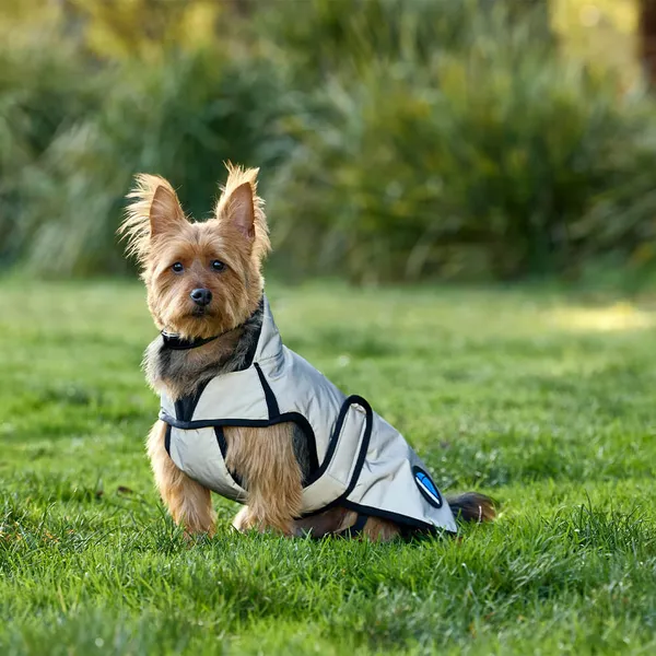 Weatherbeeta Comfitec Reflective Showerproof Dog Coat - Taille 80 – photo 3