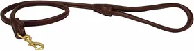 Meilleurs prix pour Weatherbeeta - Laisse de chien (Taille unique) (Marron) - UTWB1257