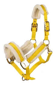 Meilleurs prix pour HKM Licol Limone Elegant jaune - Pur-sang